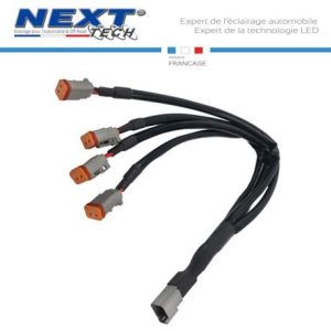 Rallonge 50cm 4 prises DT-Deutsch 2 pins